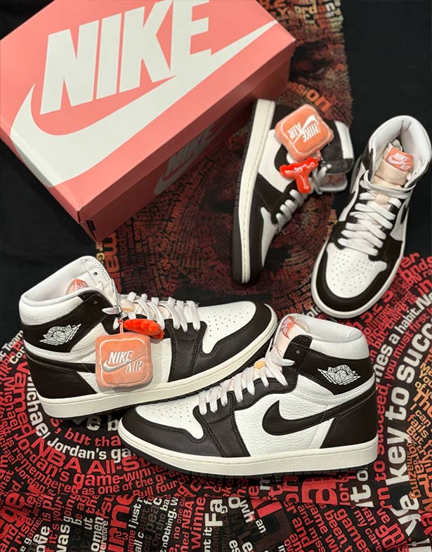 Giày Nike Air Jordan 1 High OG “Light Madder Root” (w) FD2596-200