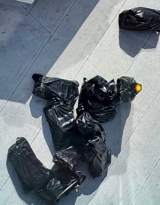 Vụ trộm giày Nike và New Balance tại Florida