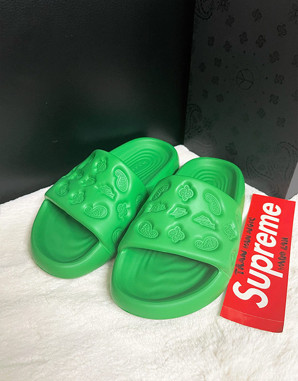 xVessel Slides “Paisley Green” S23X21G