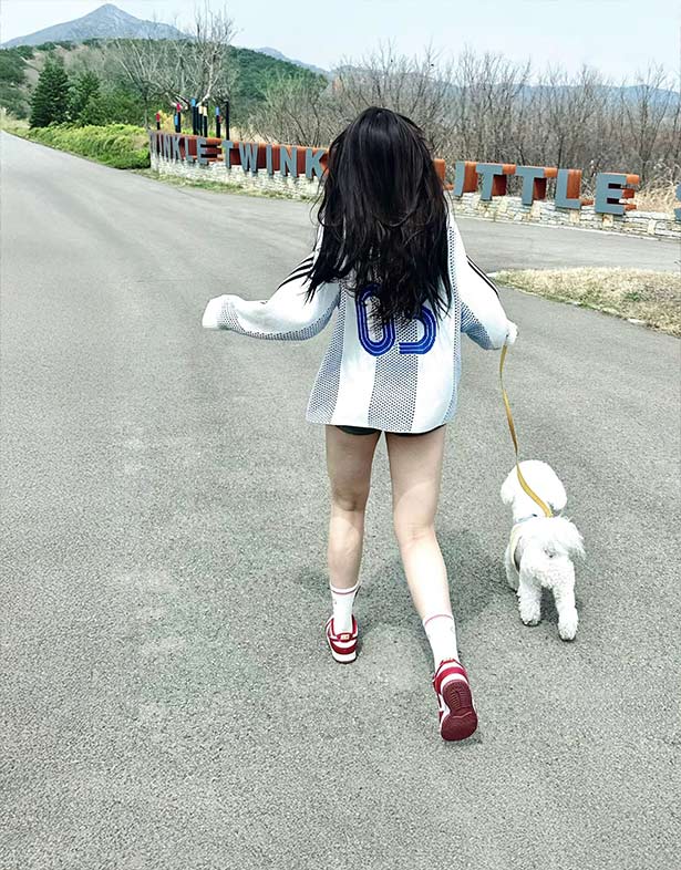 Nike Dunk Low “Team Red” DD1391-601