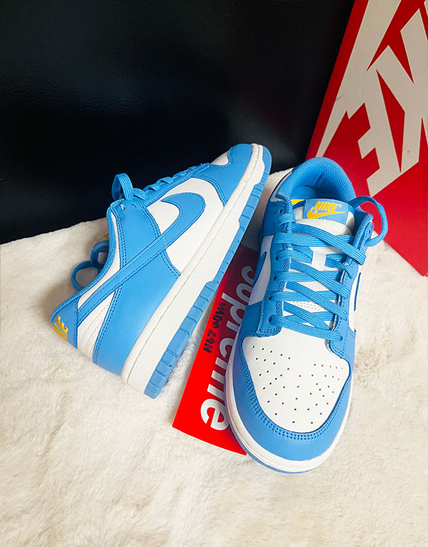 Nike Dunk Low “Coast” (w) DD1503-100