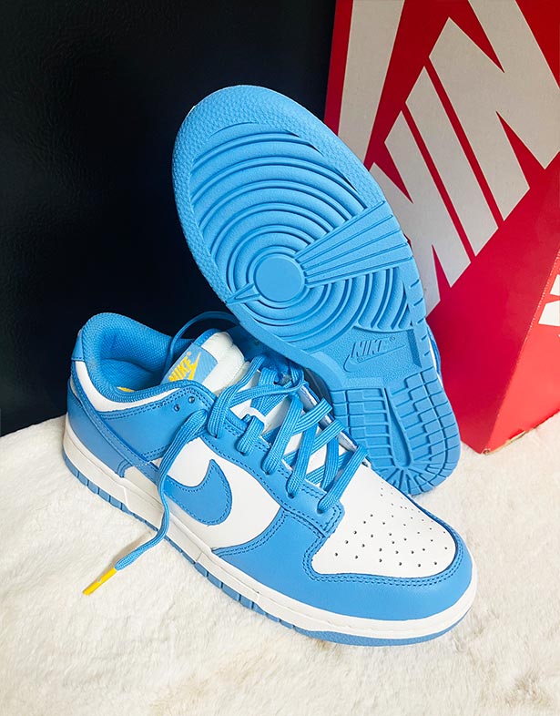 Nike Dunk Low “Coast” (w) DD1503-100