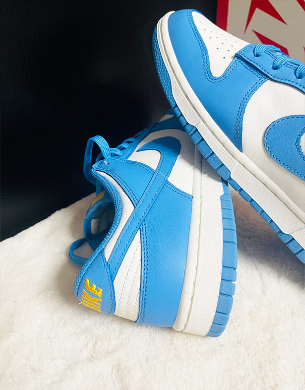 Nike Dunk Low “Coast” (w) DD1503-100