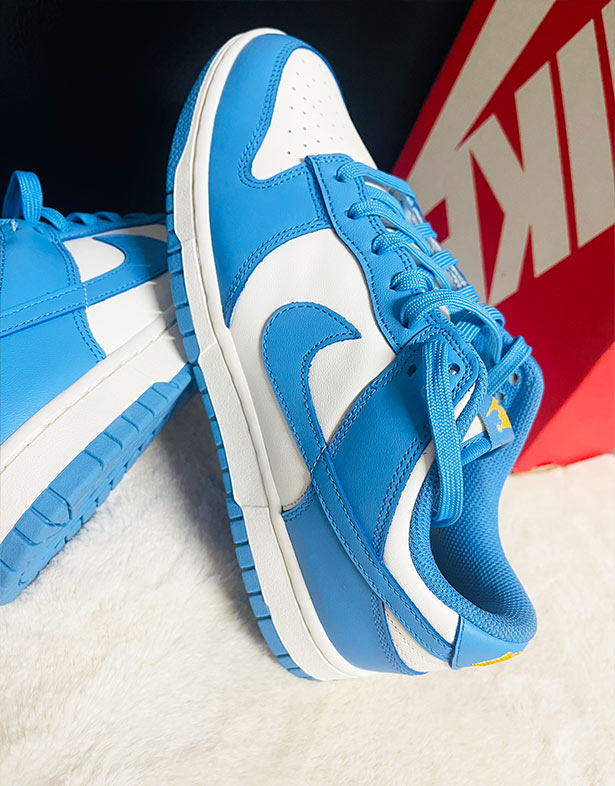 Nike Dunk Low “Coast” (w) DD1503-100