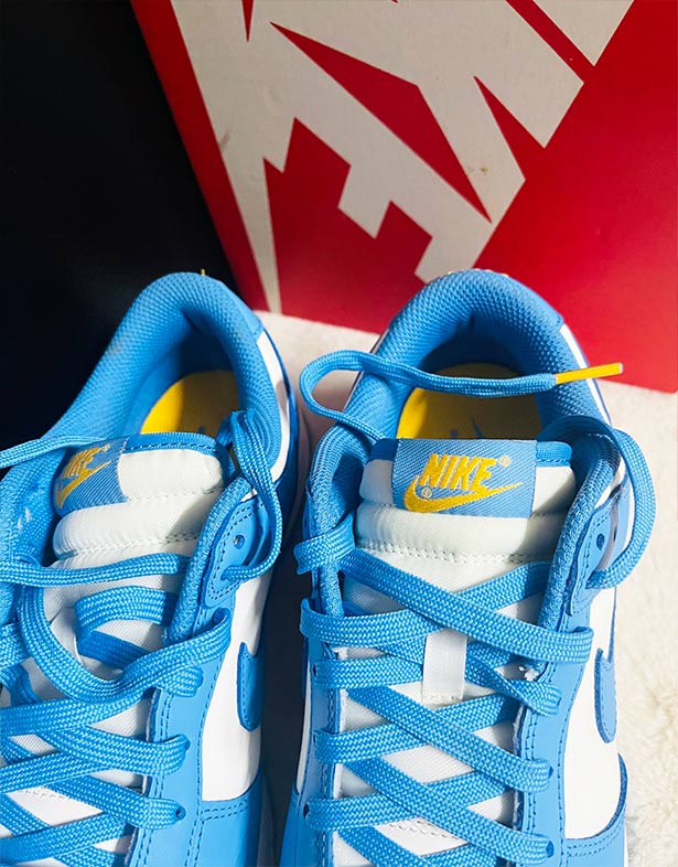 Nike Dunk Low “Coast” (w) DD1503-100