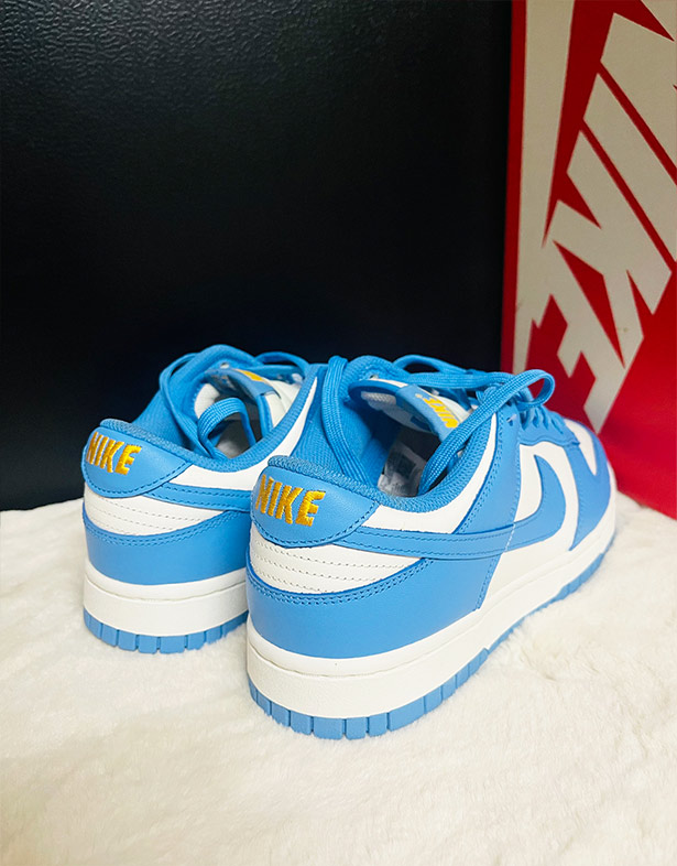 Nike Dunk Low “Coast” (w) DD1503-100