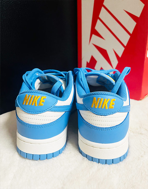 Nike Dunk Low “Coast” (w) DD1503-100
