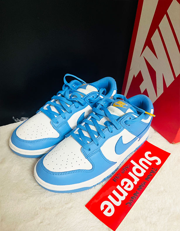 Nike Dunk Low “Coast” (w) DD1503-100