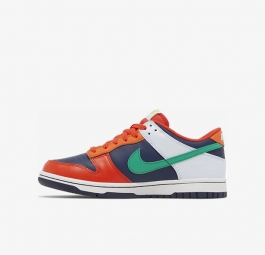 Nike Dunk Low GS “What The” FQ8348-902