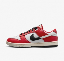 Nike Dunk Low “Split Chicago” DZ2536-600